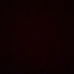 Meet your Posher, Ebony